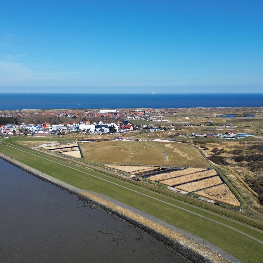 Schilfbeet von oben auf Norderney