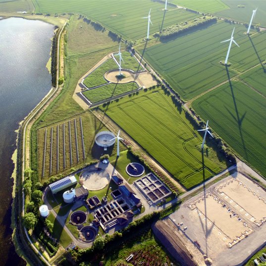 Schilfbeet neben Kläranlage von oben