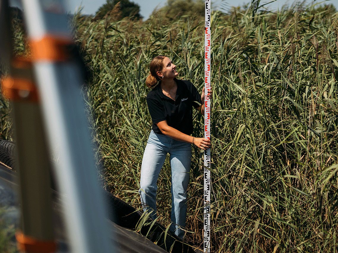 Frau arbeitet in Schilfbeet