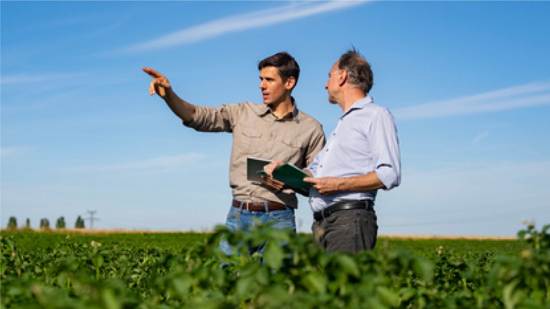 Zwei Männer unterhalten sich in Schilfbeet