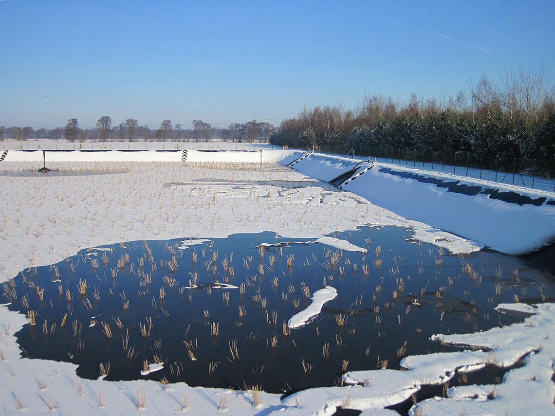 Gefrorenes Schilfbeet mit Schnee