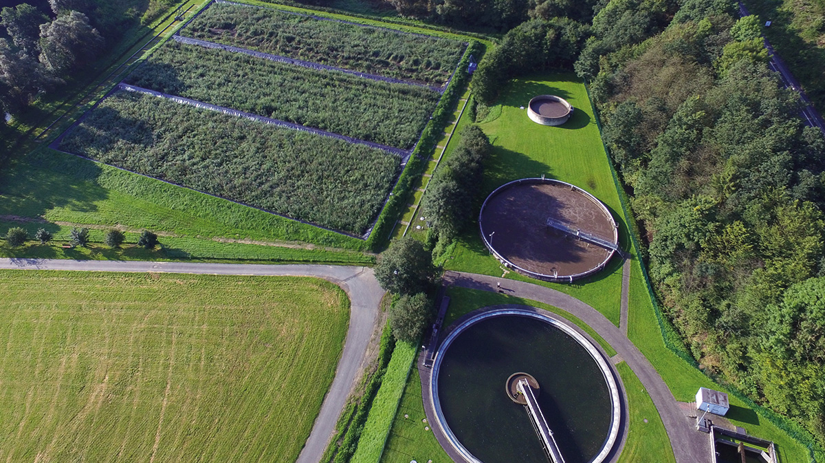 Luftaufnahme von Schilfbeet