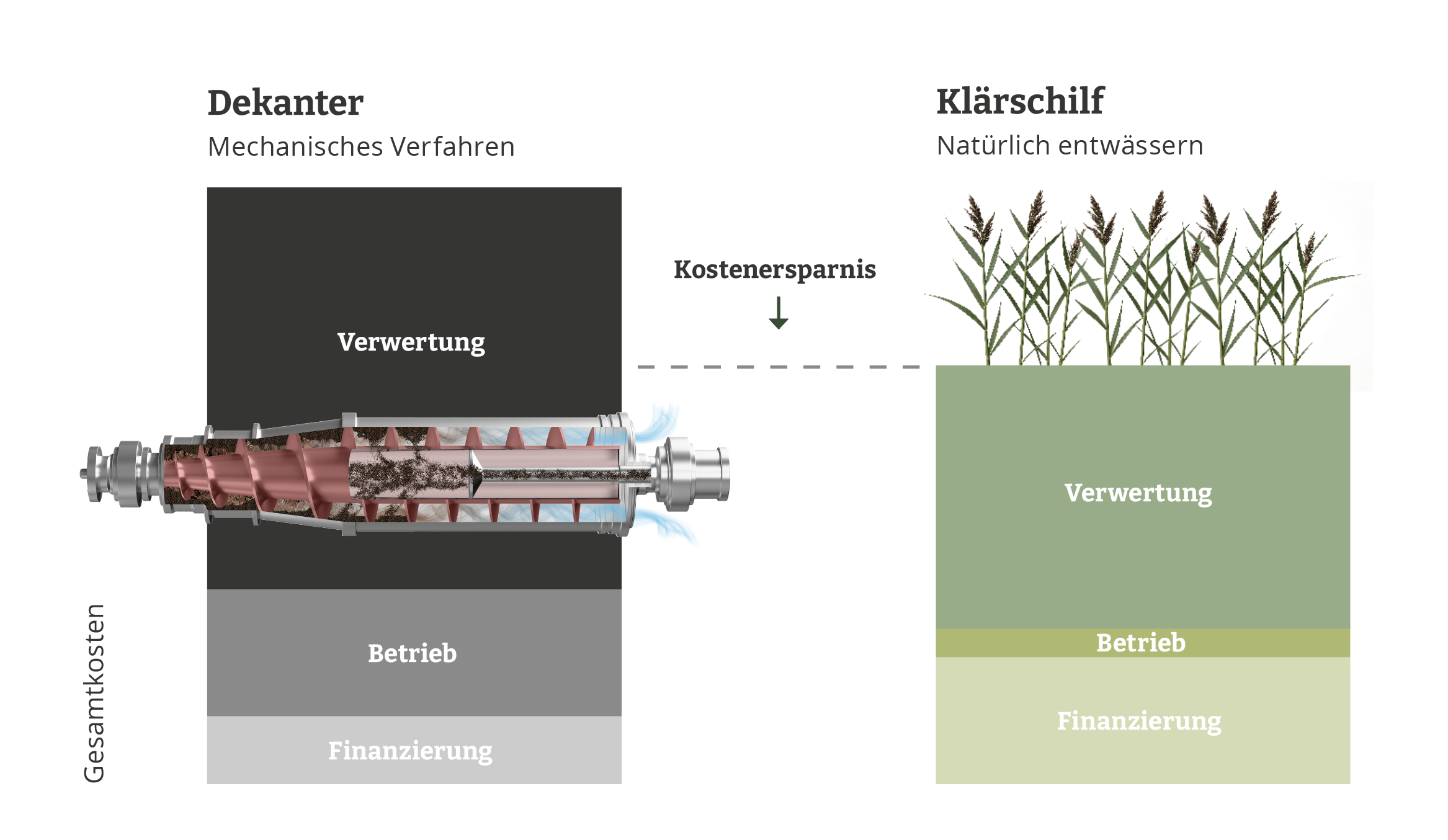 Grafik zeigt einen Dekanter und Klärschilf im Vergleich