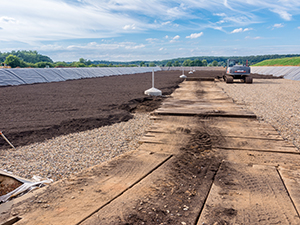 Schilfbeet wird gebaut