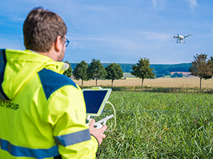 Mitarbeiter fliegt Drohne über einem Schilfbeet