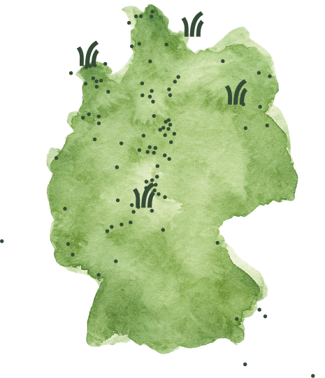 Deutschlandkarte in grün mit Wasserfarben Optik, auf denen grüne Punkte und Schilf Icons verteilt sind